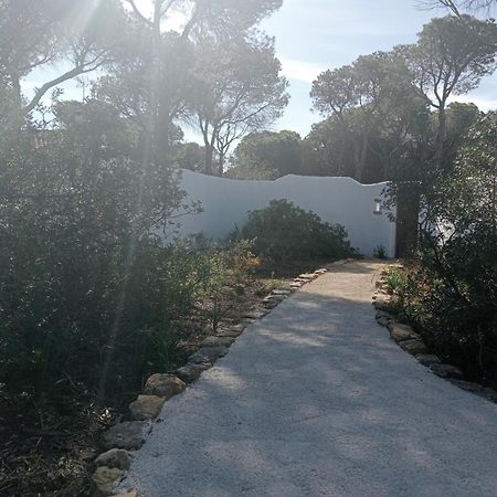 Casa Palmito 2 Βίλα Chiclana de la Frontera Εξωτερικό φωτογραφία
