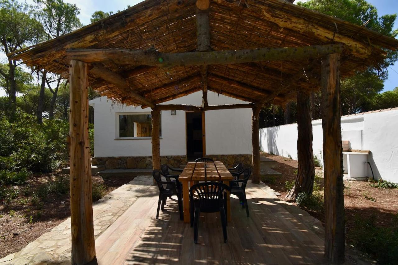 Casa Palmito 2 Βίλα Chiclana de la Frontera Εξωτερικό φωτογραφία